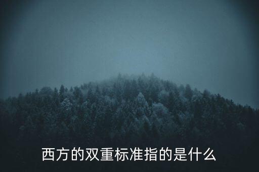 西方的雙重標準指的是什么