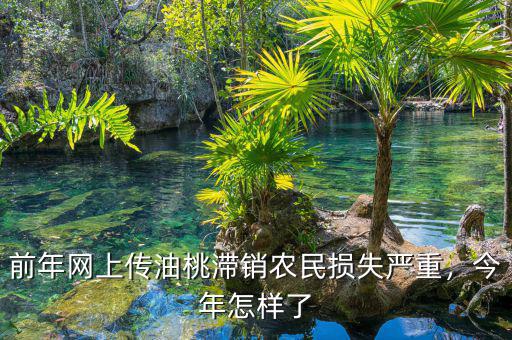 前年網(wǎng)上傳油桃滯銷農(nóng)民損失嚴(yán)重，今年怎樣了