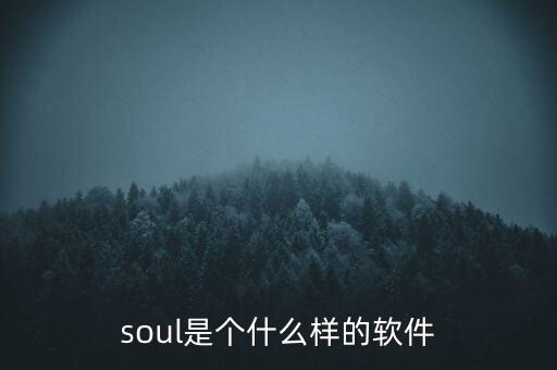 soul是個(gè)什么樣的軟件