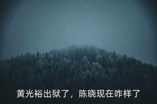 黃光裕出獄了，陳曉現(xiàn)在咋樣了