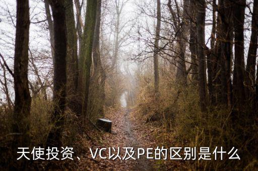 天使投資、VC以及PE的區(qū)別是什么