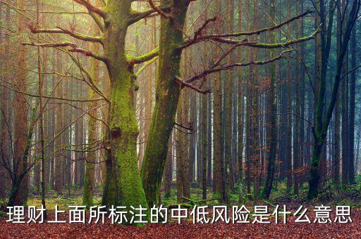 理財(cái)上面所標(biāo)注的中低風(fēng)險(xiǎn)是什么意思