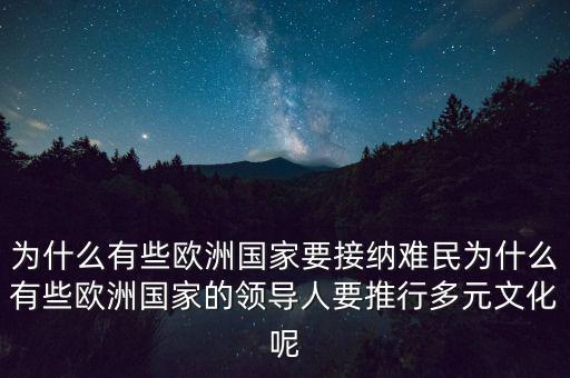 為什么有些歐洲國家要接納難民為什么有些歐洲國家的領(lǐng)導人要推行多元文化呢