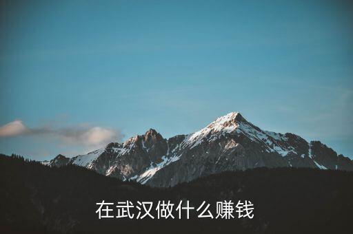 在武漢做什么賺錢