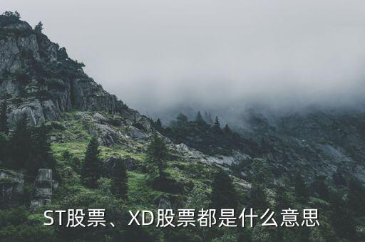 xd寶鋼股是什么意思,股票前加xd是什么意思