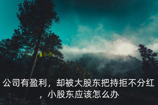 公司有盈利，卻被大股東把持拒不分紅，小股東應(yīng)該怎么辦