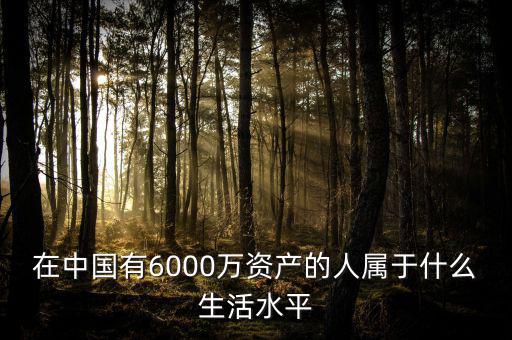 在中國(guó)有6000萬(wàn)資產(chǎn)的人屬于什么生活水平