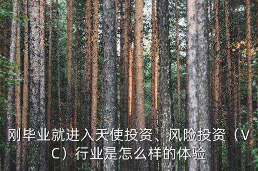 剛畢業(yè)就進(jìn)入天使投資、風(fēng)險(xiǎn)投資（VC）行業(yè)是怎么樣的體驗(yàn)