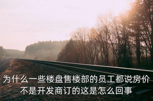 為什么一些樓盤售樓部的員工都說房?jī)r(jià)不是開發(fā)商訂的這是怎么回事