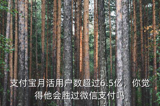 支付寶月活用戶數(shù)超過6.5億，你覺得他會勝過微信支付嗎