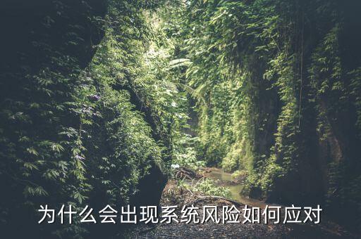 為什么會出現(xiàn)系統(tǒng)風(fēng)險(xiǎn)如何應(yīng)對