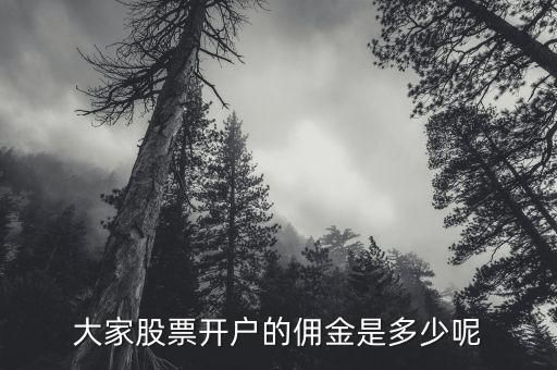 柳卅股票開(kāi)戶傭金是多少,你們炒股傭金都是多少