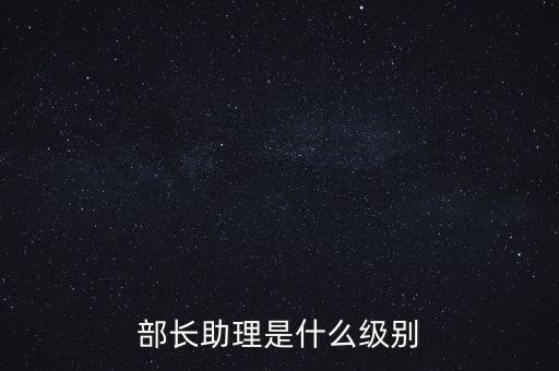 部長助理是什么級別