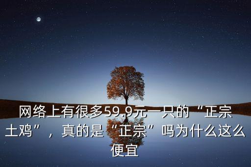 網(wǎng)絡(luò)上有很多59.9元一只的“正宗土雞”，真的是“正宗”嗎為什么這么便宜