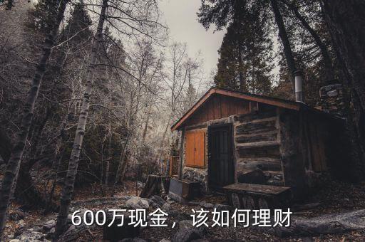 600萬怎么理財(cái),目前手里有600萬資金