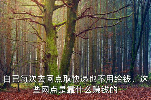 自己每次去網(wǎng)點(diǎn)取快遞也不用給錢，這些網(wǎng)點(diǎn)是靠什么賺錢的