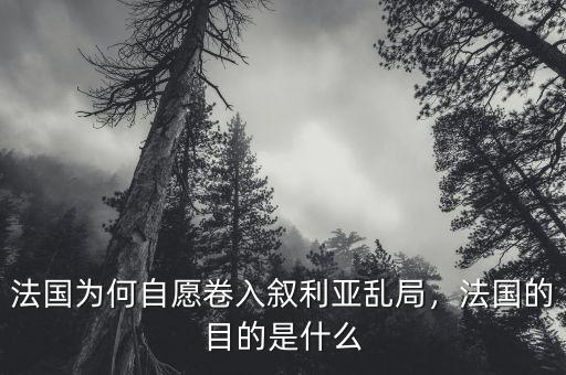 法國為何自愿卷入敘利亞亂局，法國的目的是什么