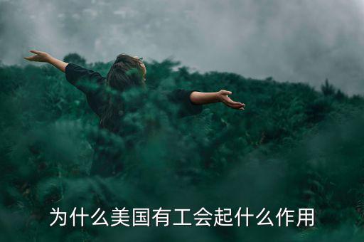 為什么美國有工會(huì)起什么作用