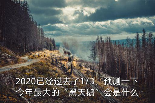 2020已經(jīng)過(guò)去了1/3，預(yù)測(cè)一下今年最大的“黑天鵝”會(huì)是什么