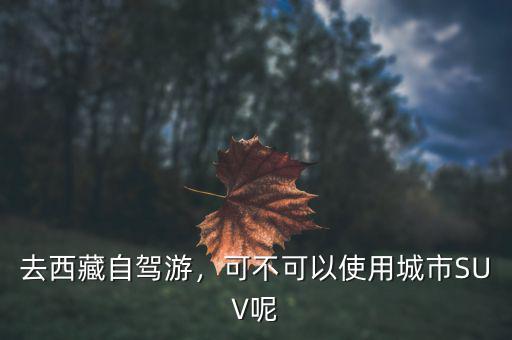 去西藏自駕游，可不可以使用城市SUV呢