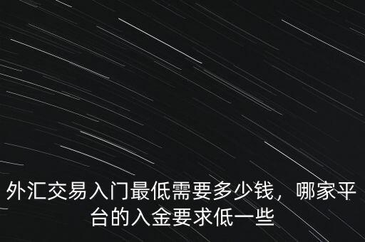 炒外匯最低要多少資金,外匯交易入門最低需要多少錢