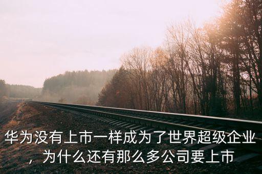 華為沒有上市一樣成為了世界超級企業(yè)，為什么還有那么多公司要上市