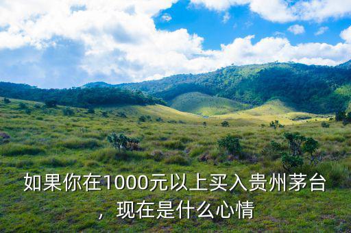 如果你在1000元以上買入貴州茅臺(tái)，現(xiàn)在是什么心情