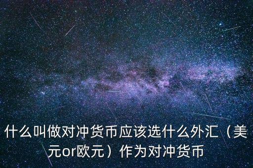 什么叫做對沖貨幣應(yīng)該選什么外匯（美元or歐元）作為對沖貨幣