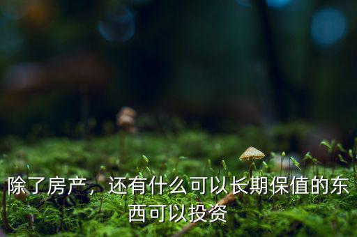 除了房產(chǎn)，還有什么可以長(zhǎng)期保值的東西可以投資