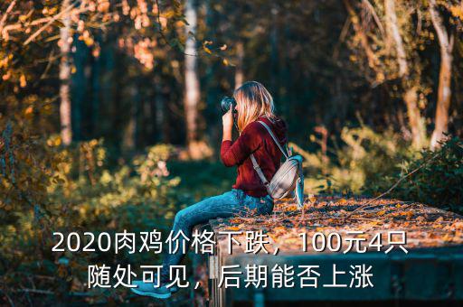 2020肉雞價格下跌，100元4只隨處可見，后期能否上漲