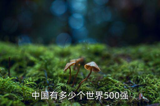 中國有多少個(gè)世界500強(qiáng)