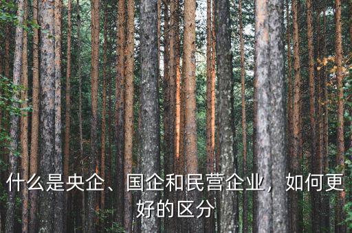 什么是央企、國企和民營企業(yè)，如何更好的區(qū)分