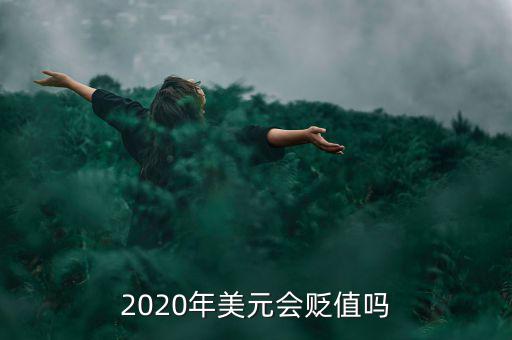 2020年美元會(huì)貶值嗎