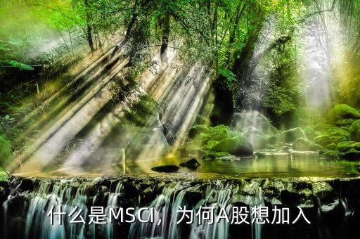 什么是MSCI，為何A股想加入