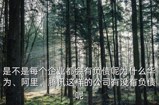 什么是適度負(fù)債,負(fù)債的本質(zhì)是什么