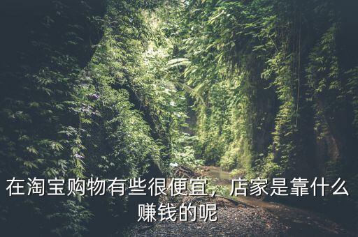 淘寶網(wǎng)靠什么賺錢的,在淘寶購物有些很便宜