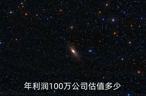 年利潤100萬公司估值多少