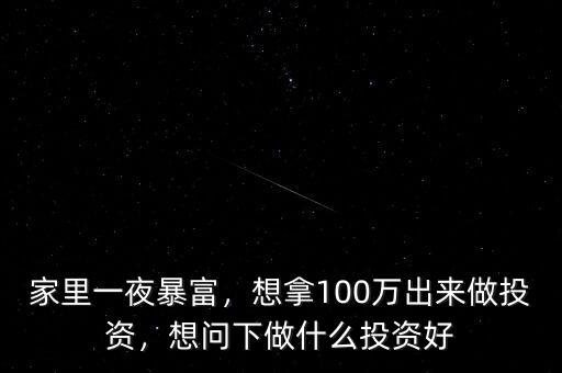 家里一夜暴富，想拿100萬出來做投資，想問下做什么投資好