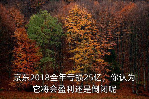 京東2018全年虧損25億，你認(rèn)為它將會盈利還是倒閉呢