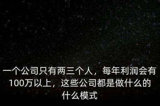 一個公司只有兩三個人，每年利潤會有100萬以上，這些公司都是做什么的什么模式