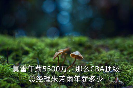 莫雷年薪5500萬(wàn)，那么CBA頂級(jí)總經(jīng)理朱芳雨年薪多少