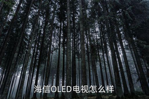 海信OLED電視怎么樣