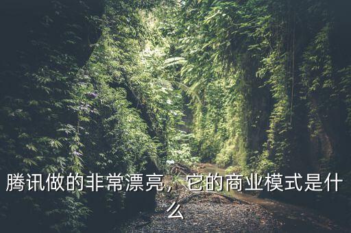 騰訊做的非常漂亮，它的商業(yè)模式是什么