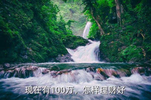 現(xiàn)在有100萬，怎樣理財好