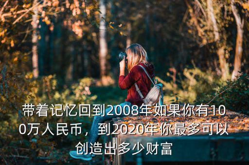 帶著記憶回到2008年如果你有100萬(wàn)人民幣，到2020年你最多可以創(chuàng)造出多少財(cái)富