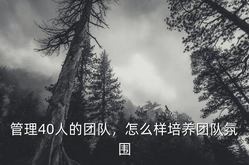 管理40人的團(tuán)隊(duì)，怎么樣培養(yǎng)團(tuán)隊(duì)氛圍