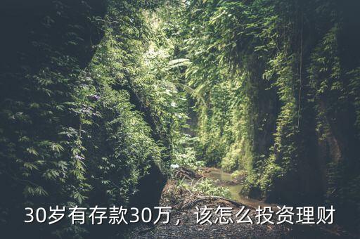 30歲有存款30萬(wàn)，該怎么投資理財(cái)