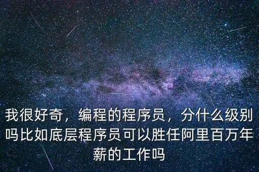 我很好奇，編程的程序員，分什么級別嗎比如底層程序員可以勝任阿里百萬年薪的工作嗎