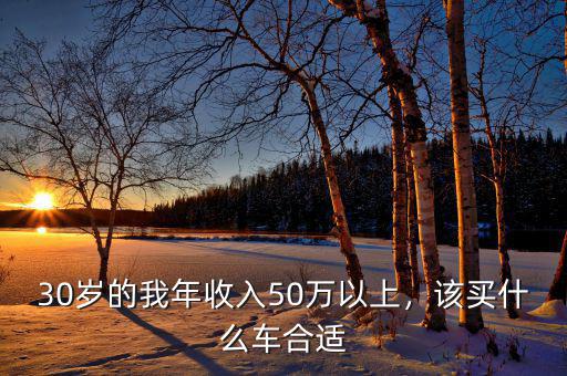 30歲的我年收入50萬以上，該買什么車合適