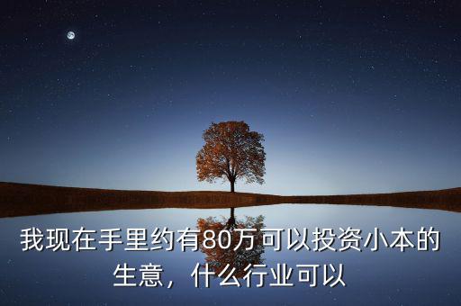 我現(xiàn)在手里約有80萬可以投資小本的生意，什么行業(yè)可以